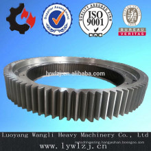 High Quality Large Size Girth Gear China Supplier